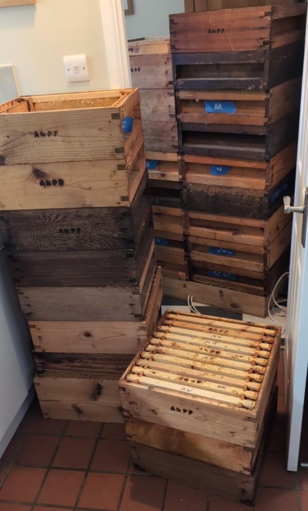 Stacked honey supers ready for extraction