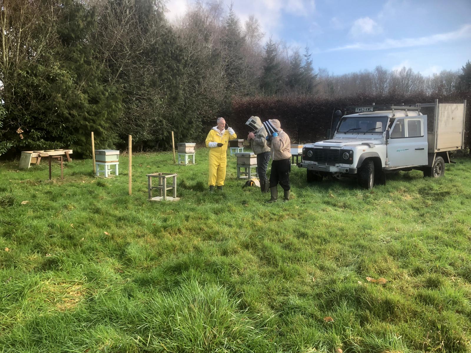 Working in the Apiary